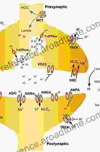 Intercellular Communication In The Nervous System