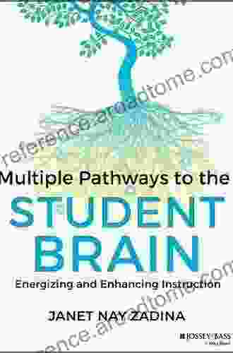 Multiple Pathways To The Student Brain: Energizing And Enhancing Instruction