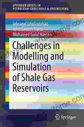 Carbonate Reservoir Heterogeneity: Overcoming The Challenges (SpringerBriefs In Petroleum Geoscience Engineering)