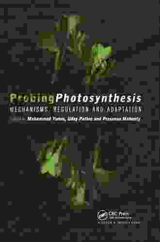 Probing Photosynthesis: Mechanism Regulation Adaptation