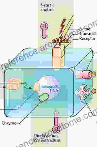 Receptor Binding In Drug Research (Clinical Pharmacology 5)