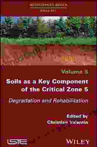 Soils As A Key Component Of The Critical Zone 1: Functions And Services