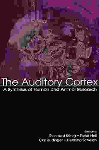 The Auditory Cortex: A Synthesis Of Human And Animal Research