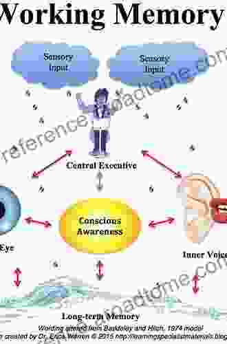 Working Memory And Learning: A Practical Guide For Teachers