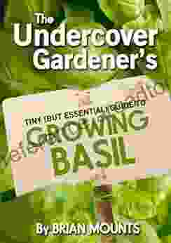 The Undercover Gardener S Tiny (But Essential) Guide To Growing Basil