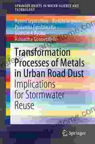 Transformation Processes Of Metals In Urban Road Dust: Implications For Stormwater Reuse (SpringerBriefs In Water Science And Technology)