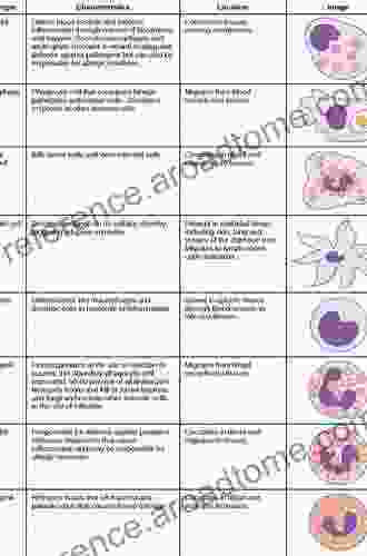 The Blood Brain Barrier In Health And Disease Volume One: Morphology Biology And Immune Function