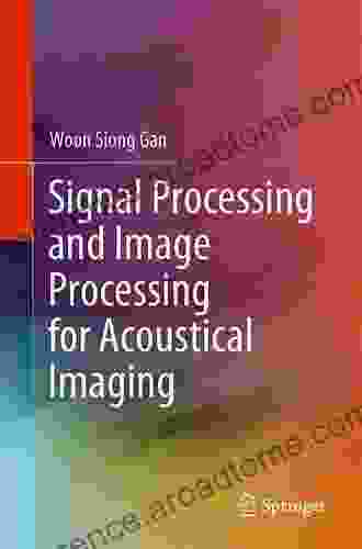 Signal Processing And Image Processing For Acoustical Imaging