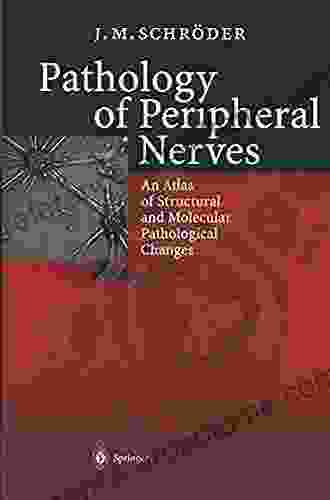 Pathology Of Peripheral Nerves: An Atlas Of Structural And Molecular Pathological Changes