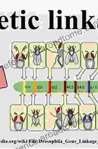 Statistical Genetics: Gene Mapping Through Linkage And Association