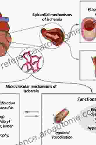 Microcirculation in Cardiovascular Diseases (Updates in Hypertension and Cardiovascular Protection)