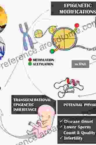 Epigenetics And Human Reproduction (Epigenetics And Human Health)