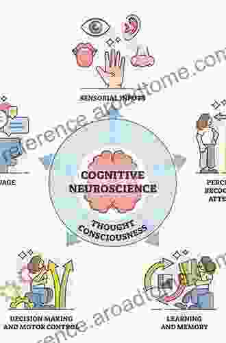 Cognitive Neuroscience And Psychotherapy: Network Principles For A Unified Theory