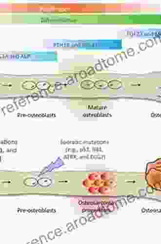 Cellular And Molecular Biology Of Bone