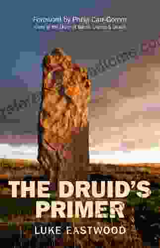 The Druid S Primer Meiso