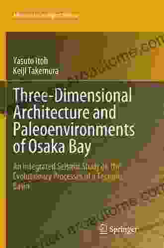 Three Dimensional Architecture And Paleoenvironments Of Osaka Bay: An Integrated Seismic Study On The Evolutionary Processes Of A Tectonic Basin (Advances In Geological Science)